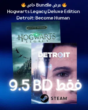 Hogwarts Legacy + Detroit Bundle 9.5 BD