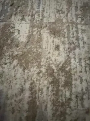 مطلوب مصنع انتاج للبيع