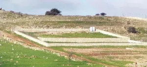 Farm Land for Sale in Ajloun Other