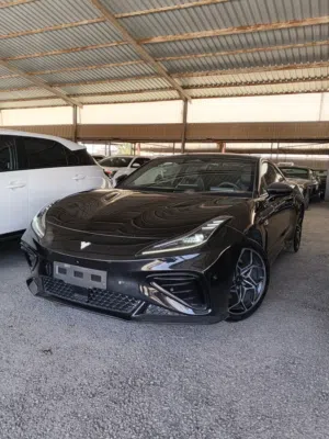 2023 نيتا GT  تقطع 650 كم بالشحنه فحص كامل