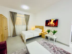 Studio . Furnished . Monthly3