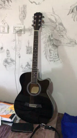 جيتار اكوستك ارماندو ag-36