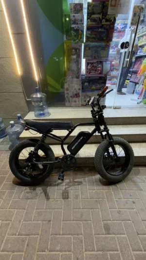 Windhorse v8