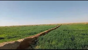 Farm . Egypt . Landlord1