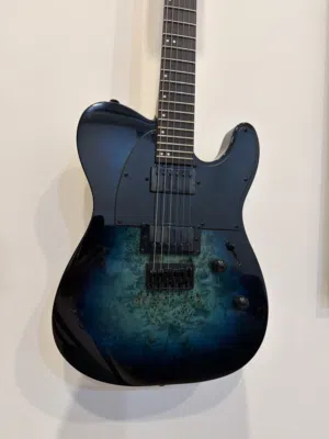 LTD Electric Guitar