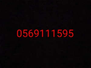 VIP Phone Numbers . Wataniya0