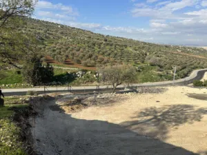 Farm Land for Sale in Zarqa Birayn
