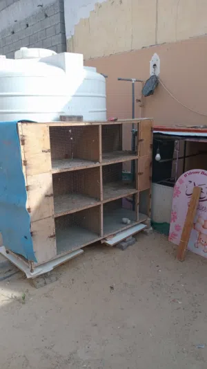 قفص طيور وحمام سته خانات