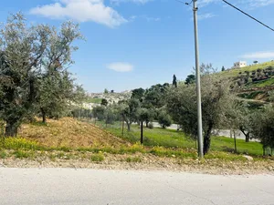 Residential Land for Sale in Zarqa Rajm Al Shawk