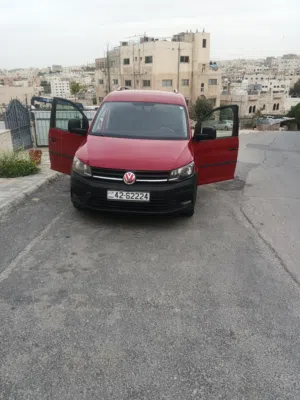 كادي فان جلف
