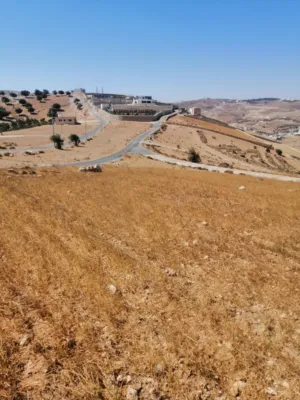 Farm Land for Sale in Zarqa Al-Kamsha