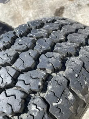 الكوشوك في خالة جيدة