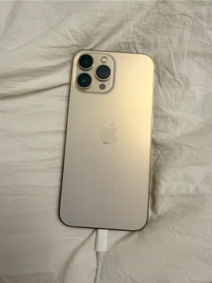 iPhone 13 pro max 128g