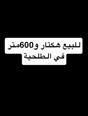 هكتار و600متر للبيع في الطلحية