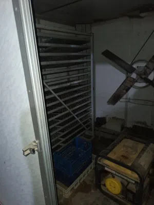 معمل تفريخ التنمية يحمل 19200 دحيه بمحرك اجديد وشنفه اجديده ولوحه اجديده وحوض ميه اجديد