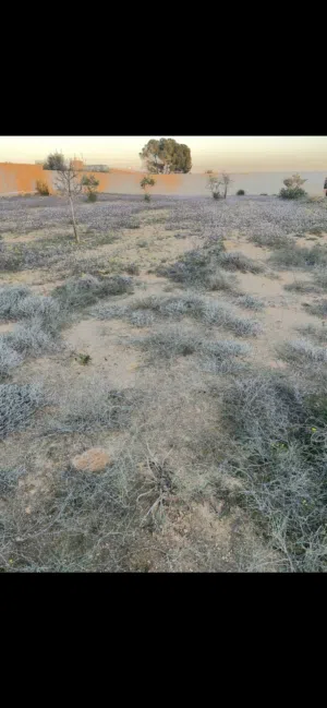 Residential Land for Sale in Tripoli Tajura