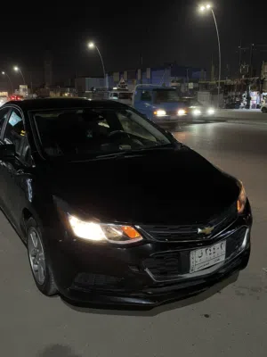 شوفر كروز 2018