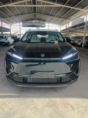 New Dongfeng Other in Amman