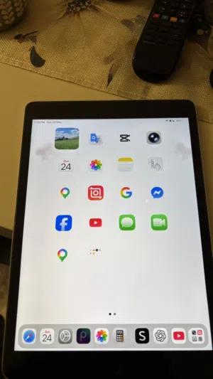 IPad 9th Generation (256)