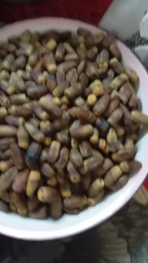 تمر نغال جريجرو الكيلو. 1.4 ريال واربع مئة بيسه.