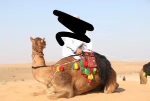 يسرح بوشر ومضمر لي رحض العرضه