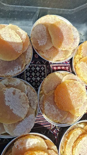 عسل سدر ملكي