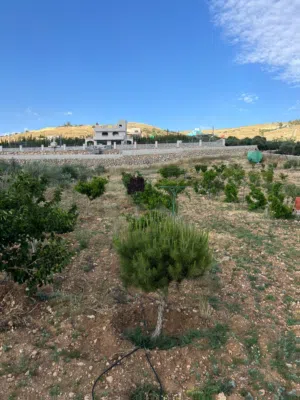 Farm Land for Sale in Jerash Unaybah