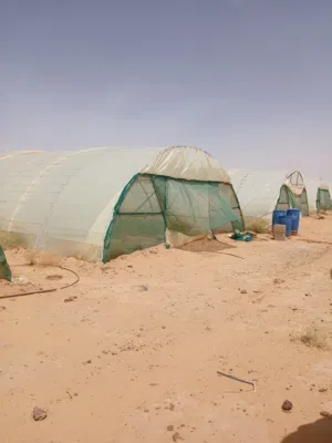 بيوت محمية عاديه للبيع