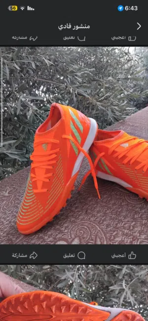 بوت كرة قدم حبيبات اديداس نخب اصلي اوروبي