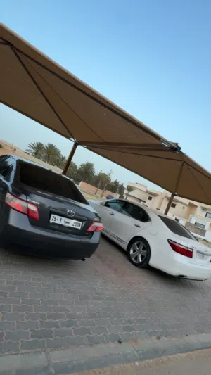ولا عيب تعالا اكشف مكانها جنزور