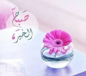 هويده ماوردي 