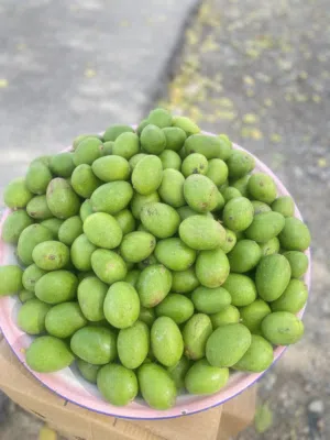 مانجو عماني وخضار أخرى