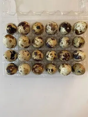 بيض فري مائدة