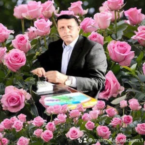 ابو لوي