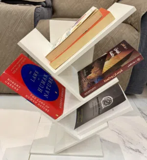 White Zig-Zag Bookshelf + Free Books Included
