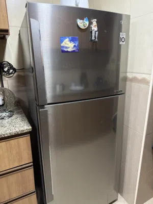 LG inverter linear