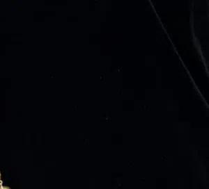 العنزي 