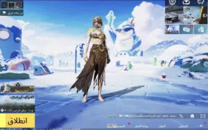 حساب ببجي العالميه