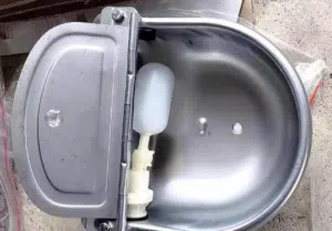 حوض ماء للحيوانات