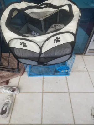 cat house for sale