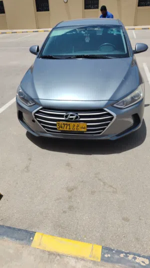 Used Hyundai Elantra in Dhofar
