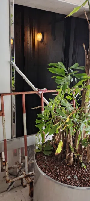 مطلوب شخص غير مدخن مساركة سكن استديو مجهزبالكامل قريب من الطريق ومحطة الباصات خلف سنيما غرناطه سابقا