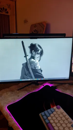 شاشه black wolf 165hz