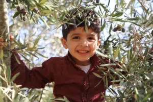 سعدو هاشم سعد الدين البغدادي 