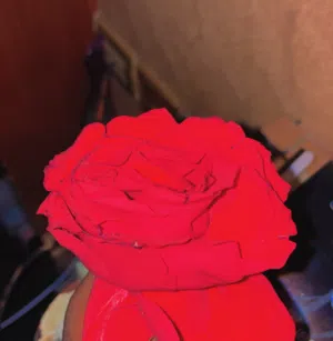 الـفـارسـي 