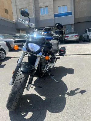 بوليفاردVz800