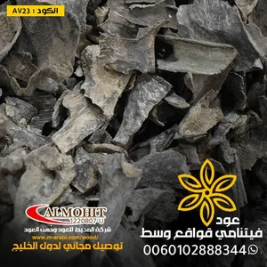 ‏عود ‏.‏ جديد‏1