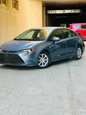 Toyota corolla LE 2023