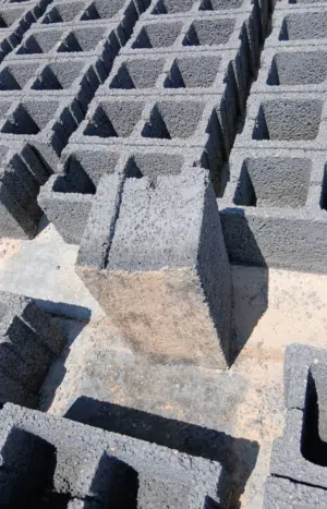 بومشي زليتن اميه حلوة