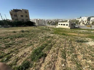 Residential Land for Sale in Amman Shafa Badran